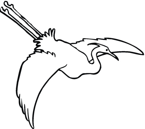 Egret Is Flying Coloring Page